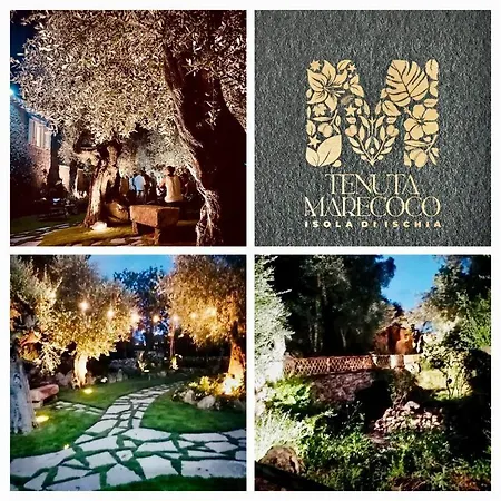 Splendore Marecoco Luxury Bed and breakfast Lacco Ameno (Isola d'Ischia)